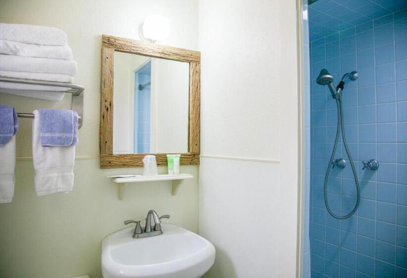 스탠다드 스튜디오 킹침대, Shiner Country Inn