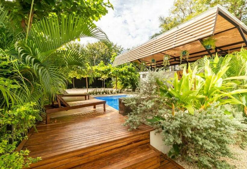 디럭스 스튜디오, Little Hawaii Avellanas