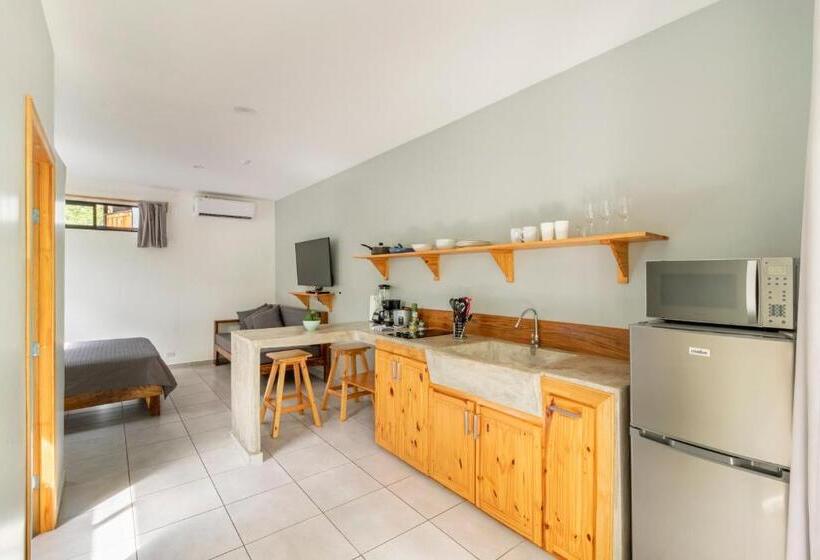 스탠다드 스튜디오, Little Hawaii Avellanas