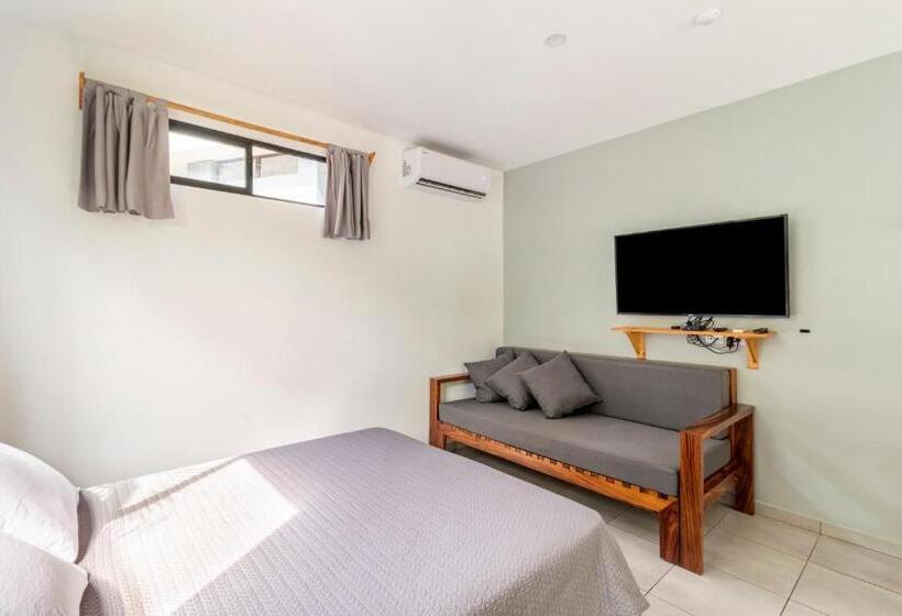 스탠다드 스튜디오, Little Hawaii Avellanas