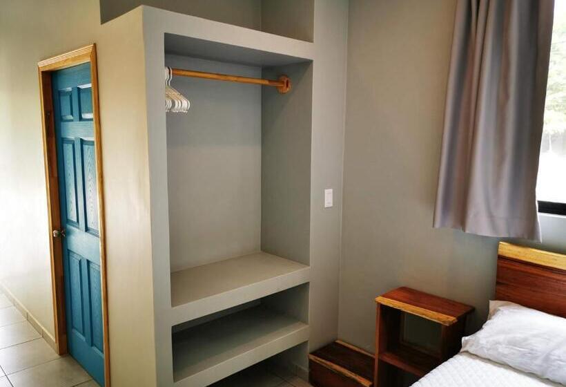 스탠다드 스튜디오, Little Hawaii Avellanas