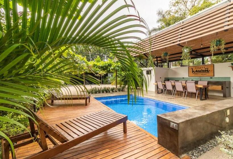 스탠다드 스튜디오, Little Hawaii Avellanas