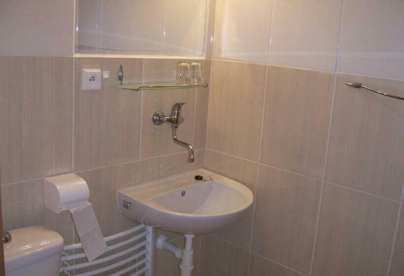 Номер Economy, Penzion Zlatá Rybka