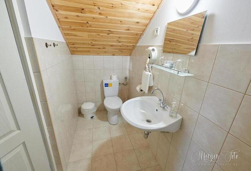 スタンダードルーム, Kamarás Klastrom House