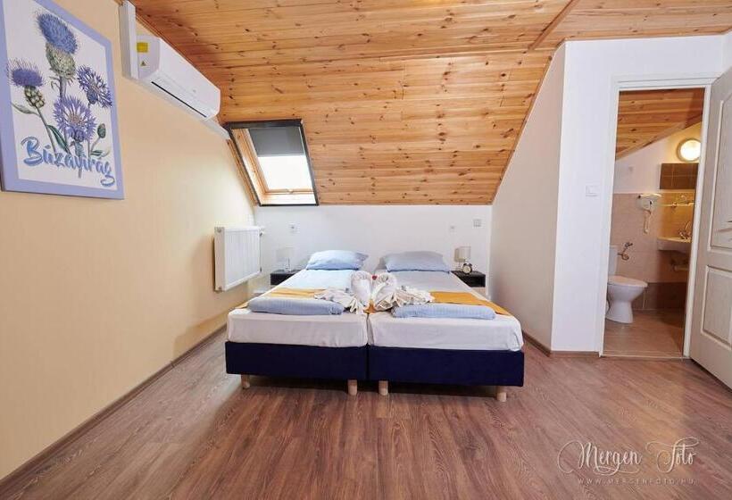 スタンダードルーム, Kamarás Klastrom House