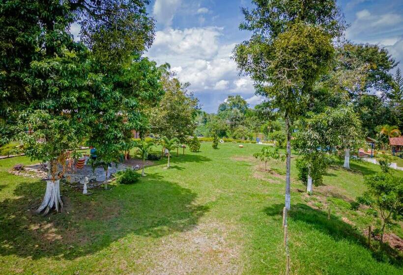 חדר סטנדרט לשלושה, Finca Hotel San Isidro