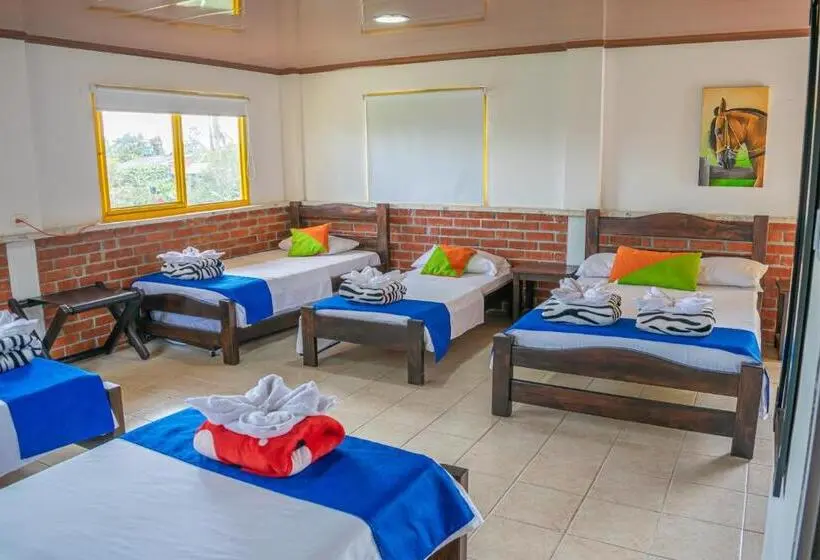 スタンダード４人部屋, Finca Hotel San Isidro