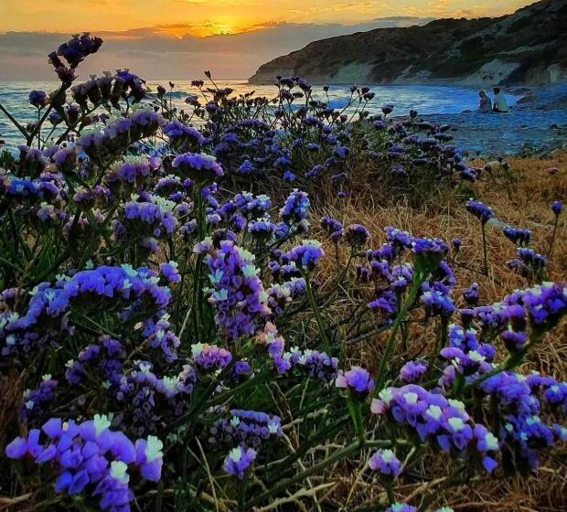 חדר סטודיו סטנדרד, Governors Beach Panayiotis