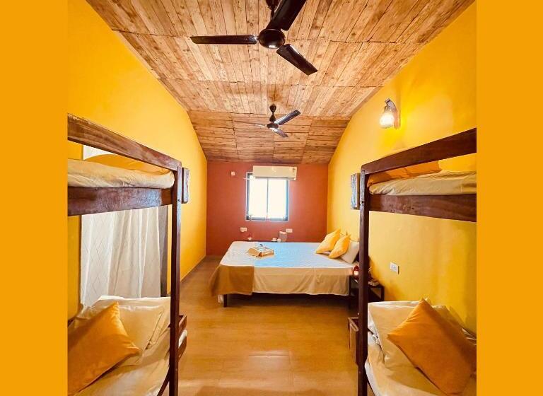 스탠다드 룸 킹사이즈 침대, Bigfoot Stay   Forganic Farm & Agro Tourism