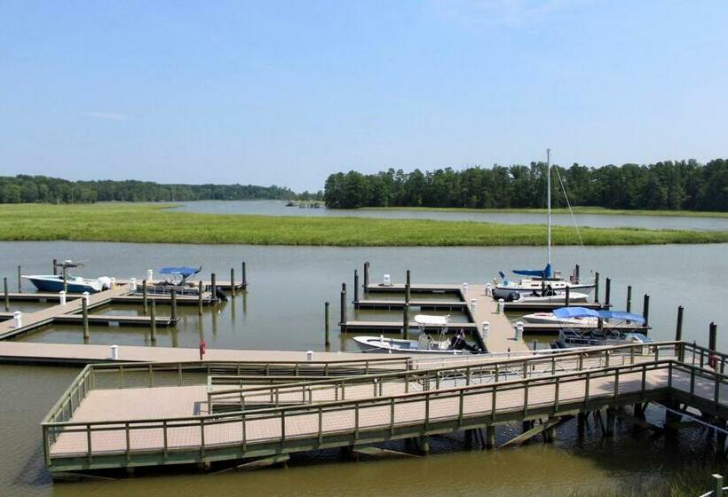 غرفة قياسية, Surry Seafood Company