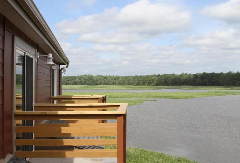 غرفة قياسية, Surry Seafood Company