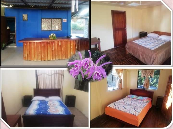 Номер Стандарт Совместная Ванная, Residencial Valle Sagrado Vilcabamba