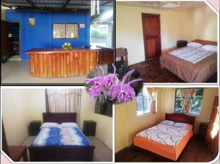 اتاق استاندارد با سرویس بهداشتی مشترک, Residencial Valle Sagrado Vilcabamba