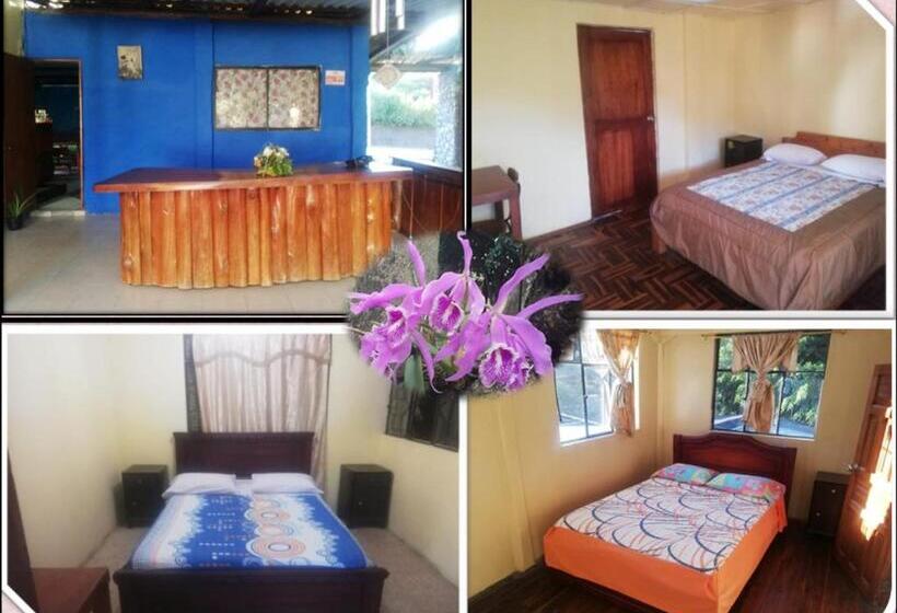 Номер Deluxe, Residencial Valle Sagrado Vilcabamba