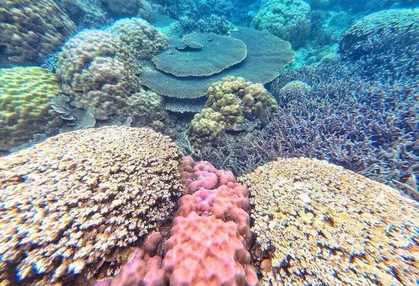 חדר סטנדרט עם מרפסת, Aquarius   Port Barton