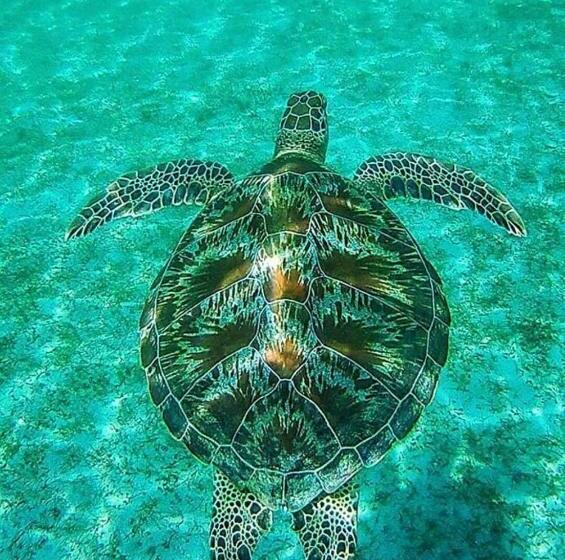 חדר סטנדרט עם מרפסת, Aquarius   Port Barton