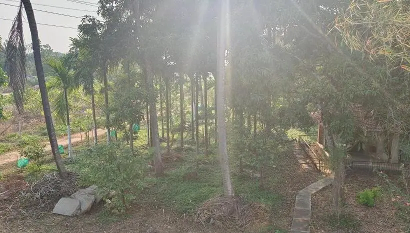 ガーデンビューデラックスルーム, Sugamya Farm Guesthouse