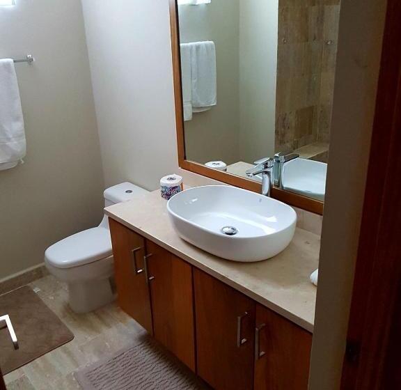 דירת חדר, Koko And Suzy's Ocean Dream