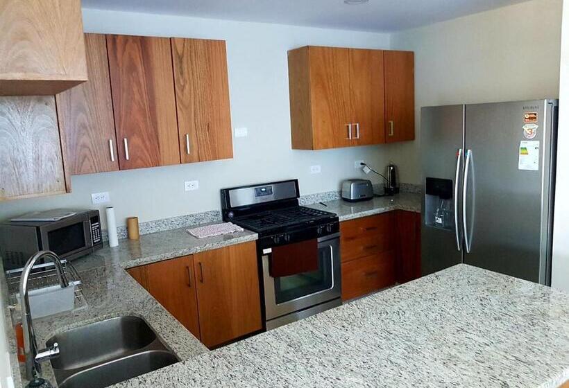 דירת חדר, Koko And Suzy's Ocean Dream