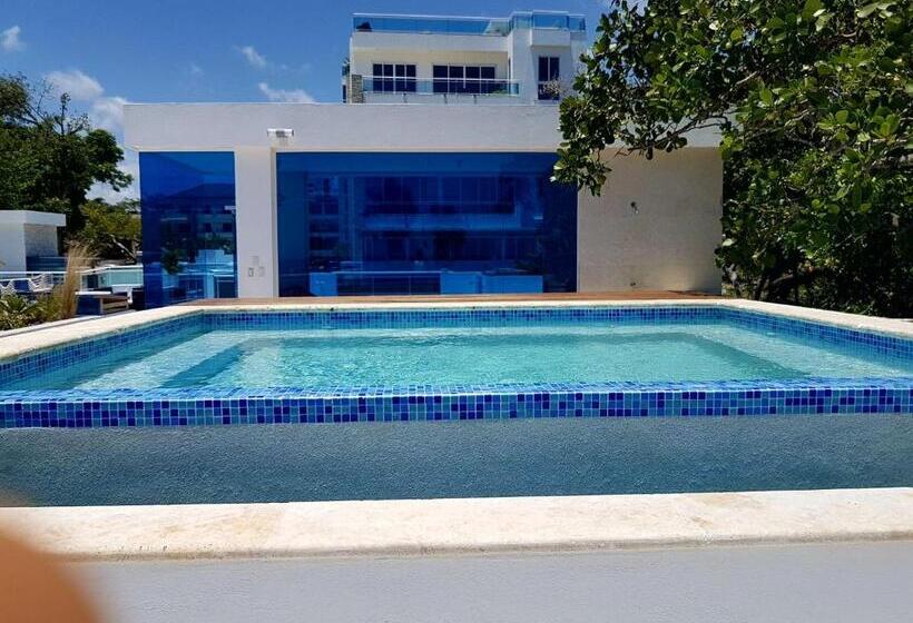 דירת חדר, Koko And Suzy's Ocean Dream