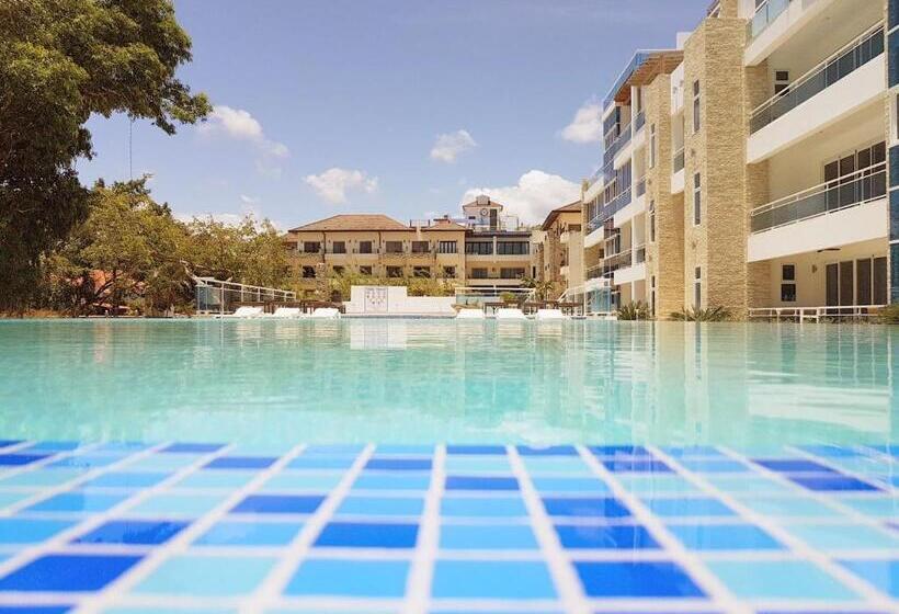 דירת חדר, Koko And Suzy's Ocean Dream