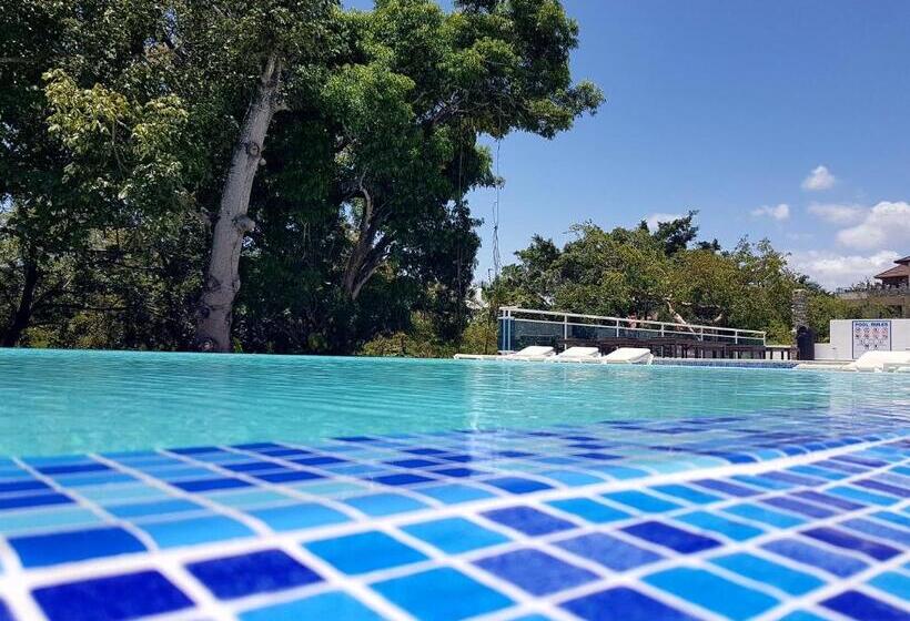 דירת חדר, Koko And Suzy's Ocean Dream