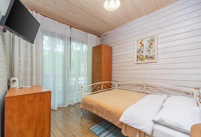 기본룸, Bird Valley