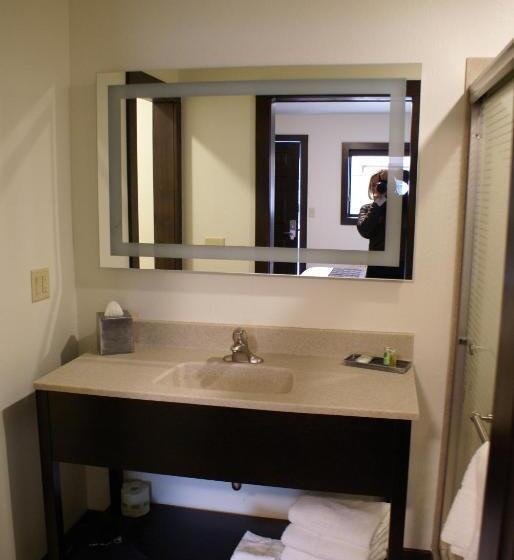 Стандартный Номер Кровать Кинг, Boarders Inn & Suites By Cobblestone Hotels   Syracuse