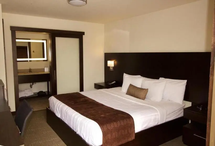 キングサイズベッドのスタンダードルーム, Boarders Inn & Suites By Cobblestone Hotels   Syracuse