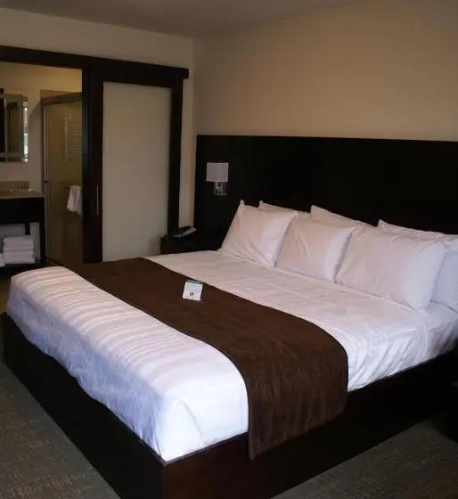 キングサイズベッドのスタンダードルーム, Boarders Inn & Suites By Cobblestone Hotels   Syracuse