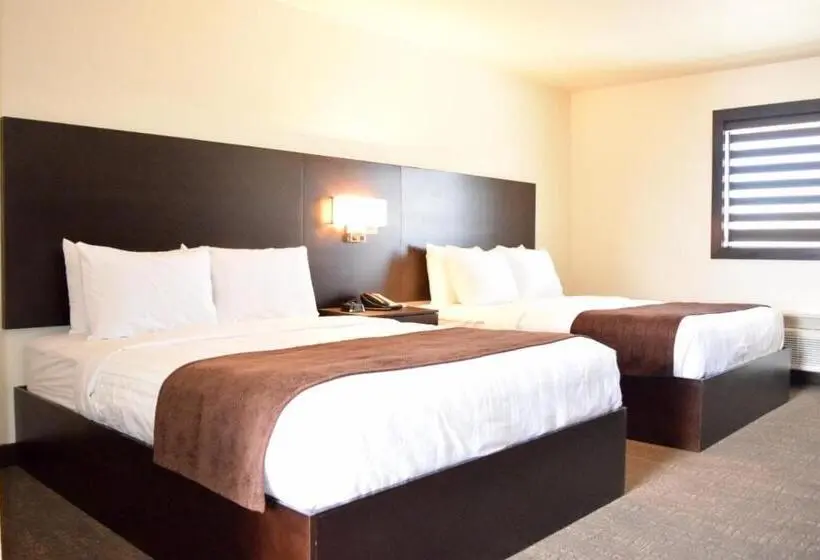 スタンダードルーム, Boarders Inn & Suites By Cobblestone Hotels   Syracuse