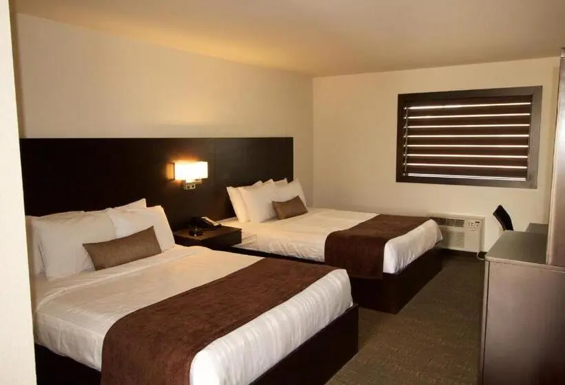 スタンダードルーム, Boarders Inn & Suites By Cobblestone Hotels   Syracuse