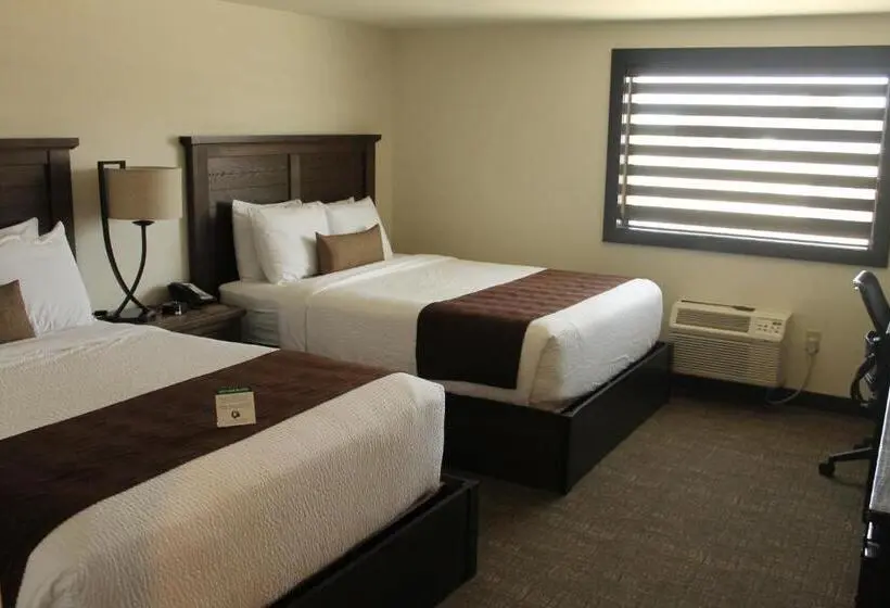 スタンダードルーム, Boarders Inn & Suites By Cobblestone Hotels   Syracuse