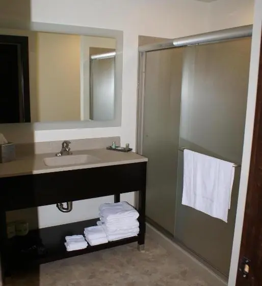 スタンダード４人部屋, Boarders Inn & Suites By Cobblestone Hotels   Syracuse