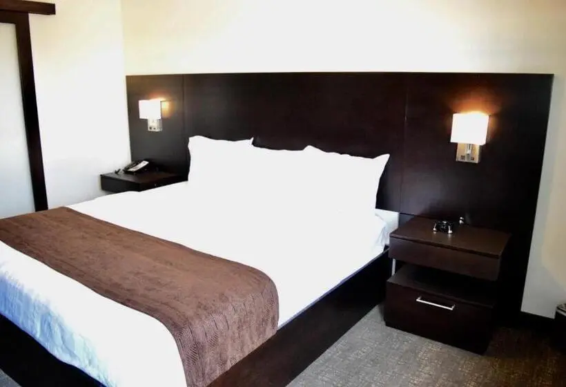 キングサイズベッドのスタンダードルーム, Boarders Inn & Suites By Cobblestone Hotels   Syracuse