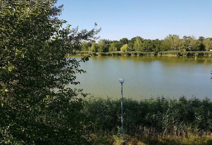 Четырехместный Номер Стандарт, Tó úti Vendégház