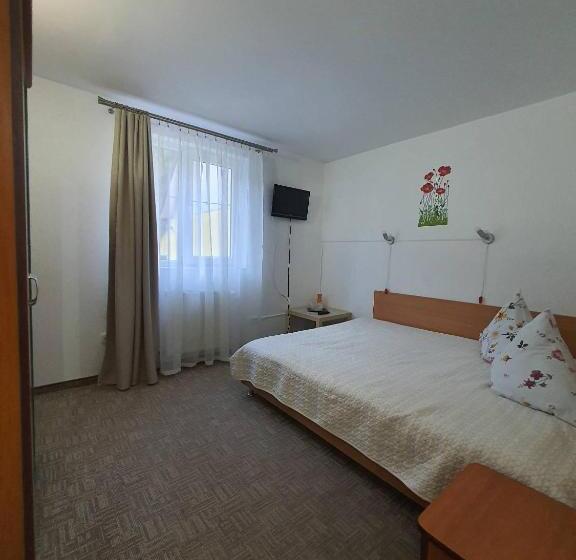 חדר סטנדרט, Pensiunea Marydor