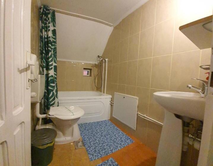 חדר סטנדרט חדר אמבטיה משותף, Pensiunea Marydor