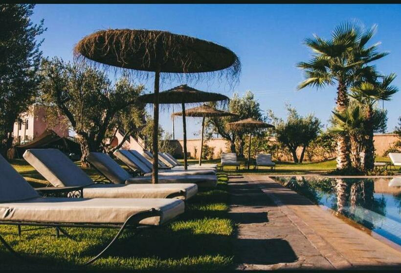 스탠다드 룸, Ourika Camp Marrakech