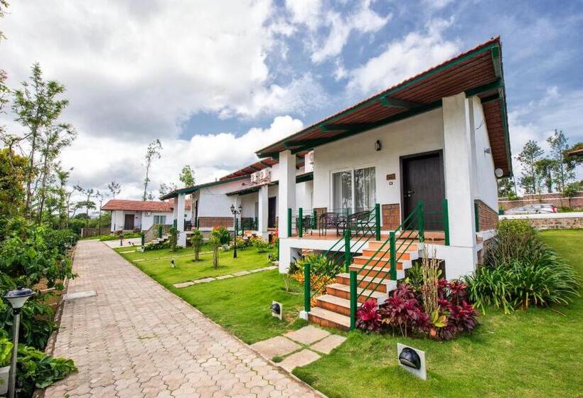 חדר דלוקס נוף בריכה, Eka Resort