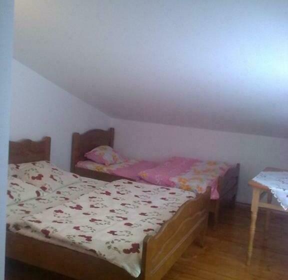 غرفة قياسية ثلاثية حمام مشترك, Pensiunea Scarisoara