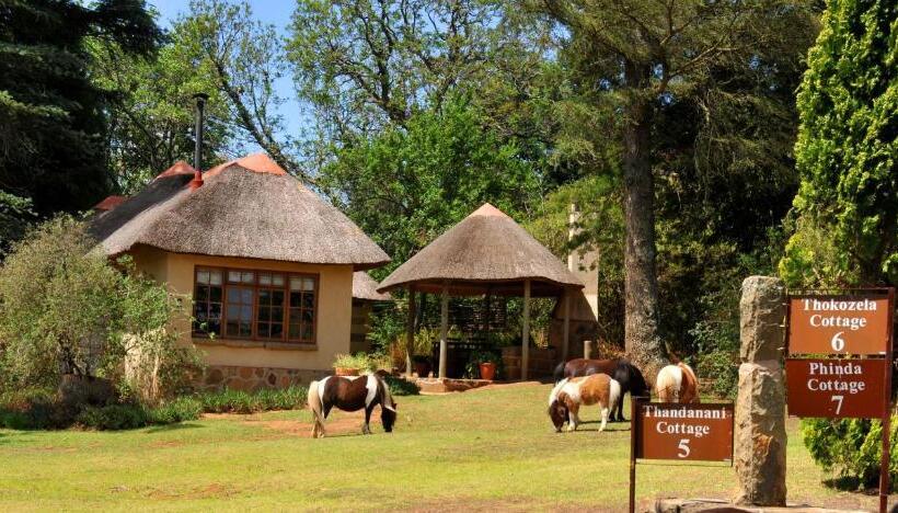 شاليه غرفة نوم واحدة, Berghouse And Cottages