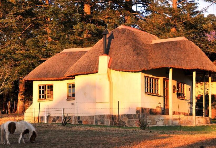 شاليه غرفة نوم واحدة, Berghouse And Cottages