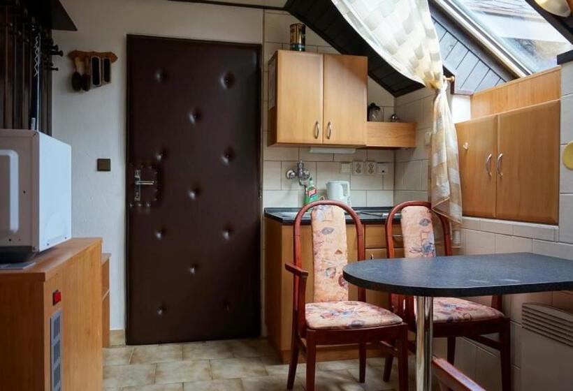Студия Стандарт, Pension Karolína