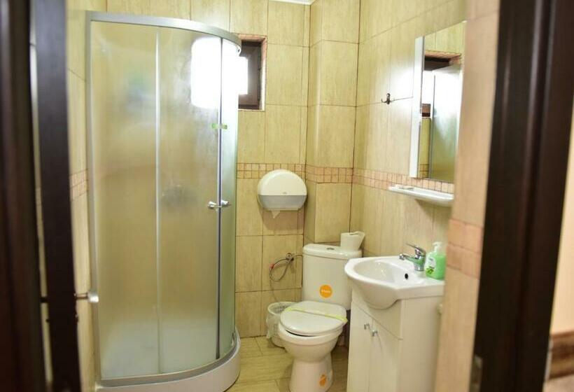 1间卧室的房子, Pensiunea Dely_cios