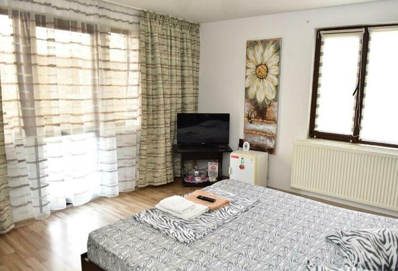 1间卧室的房子, Pensiunea Dely_cios