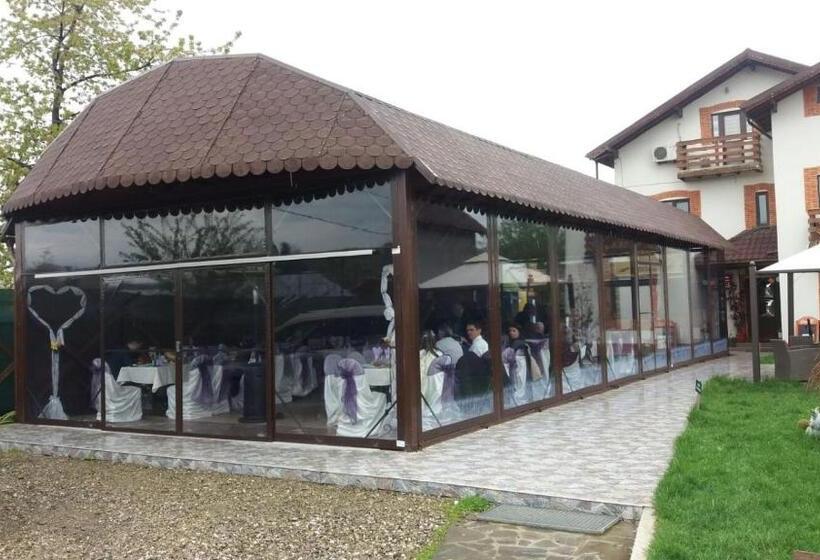 1间卧室的房子, Pensiunea Dely_cios