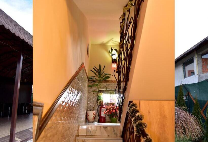 Standard room with outdoor bath, Pensiunea Dely_cios