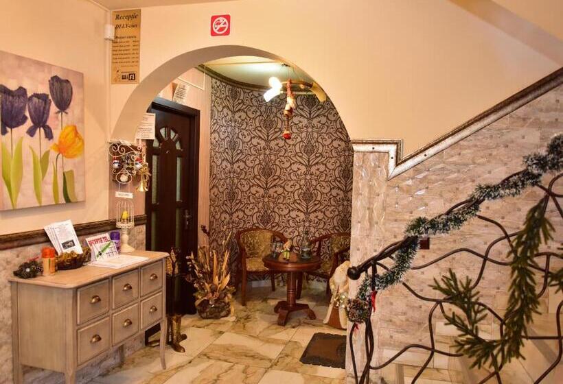 1间卧室的房子, Pensiunea Dely_cios