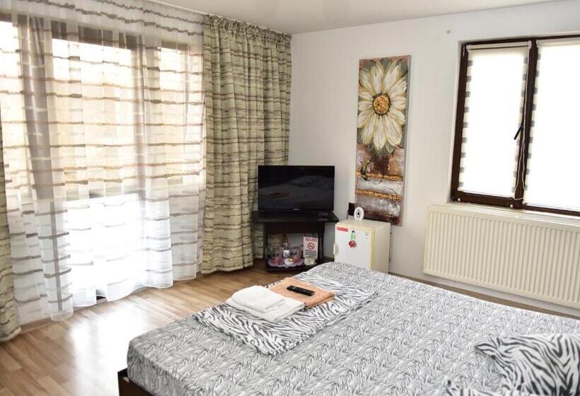 标准间, Pensiunea Dely_cios